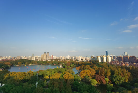 上海普陀区长风公园全景