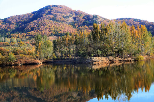 多彩山林