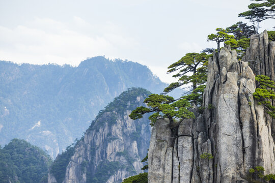 安徽黄山风景区自然风光