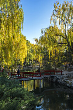 北京中山公园秋景