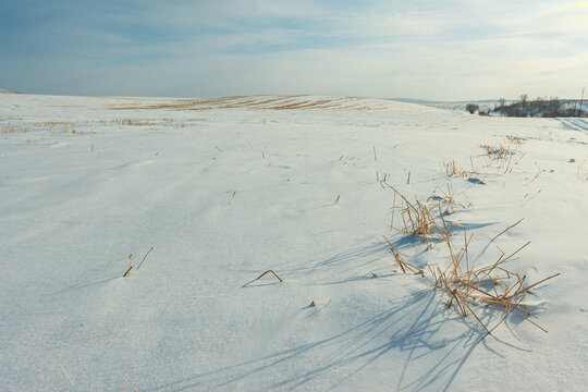 冬天雪原草原