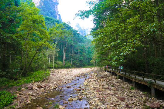 金鞭溪景区