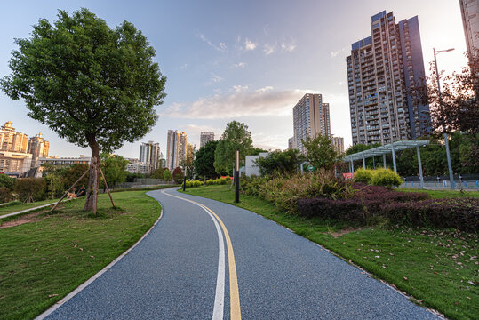 公园草地步道景观风光