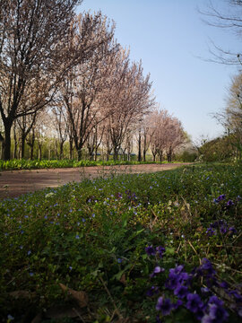 河岸风光百花路下