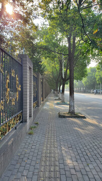 城市小区外的林荫走道