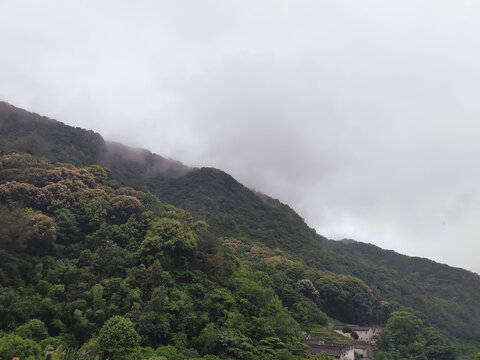 山景