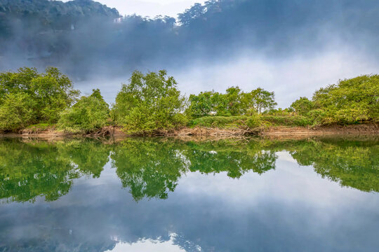 河畔绿树