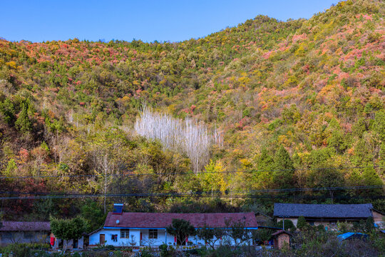 大洪山风景