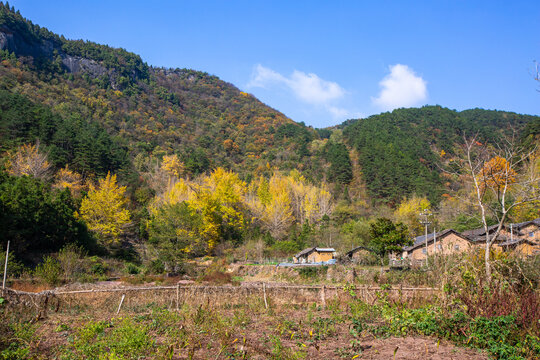 水没坪村