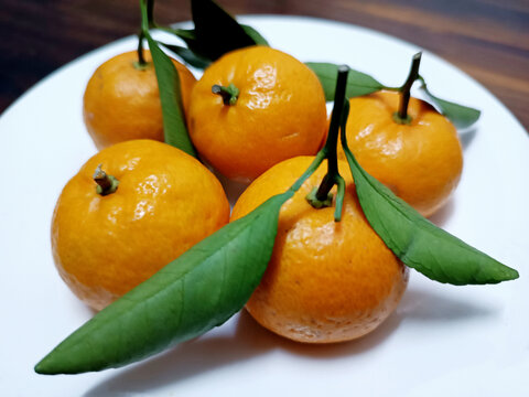 蜜桔橘子