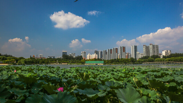 龙湖