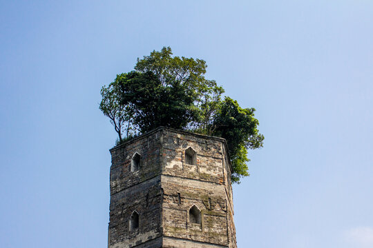 江心屿东塔