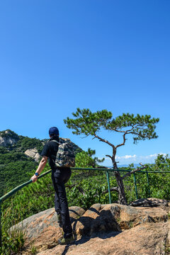 登高望远