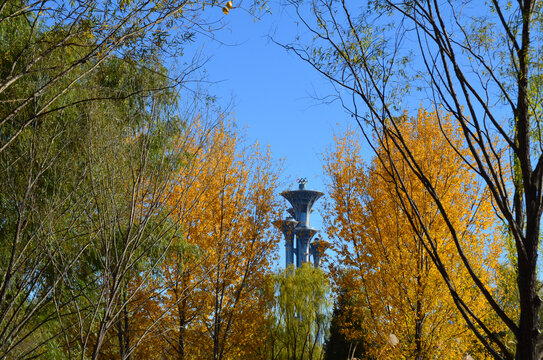 奥森公园的秋