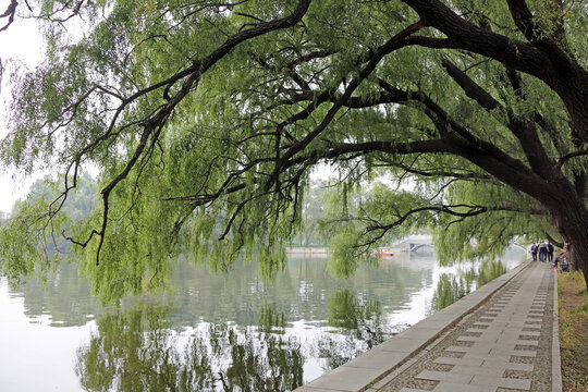 沈阳北陵公园