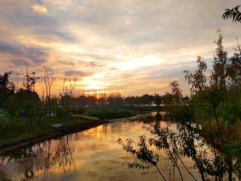 湿地湖边夕阳