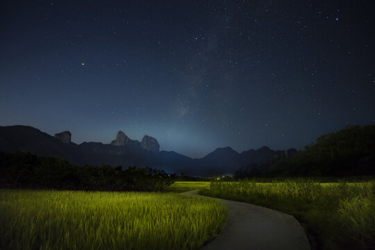 星野稻田