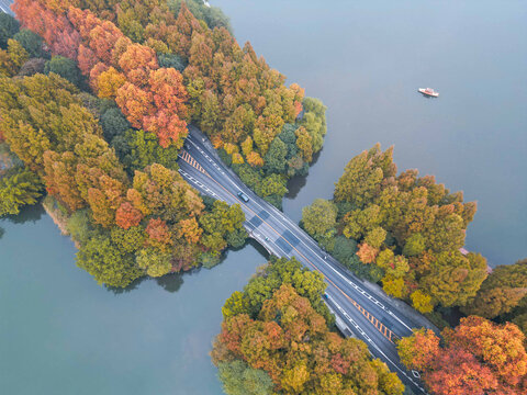 杭州杨公堤的秋
