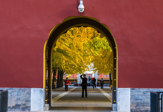 北京中山公园秋色