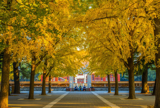 北京中山公园秋色