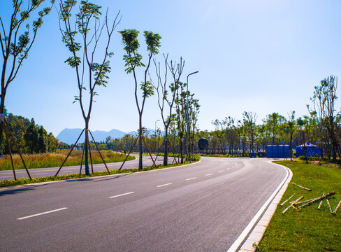 城市健康道路