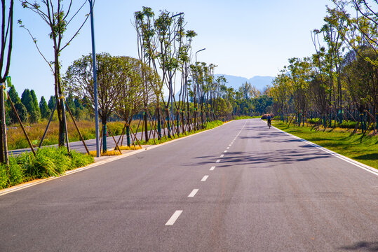 城市健康道路