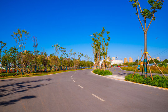 城市健康道路