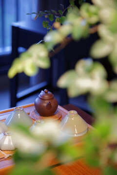 家居绿植下的紫砂茶壶