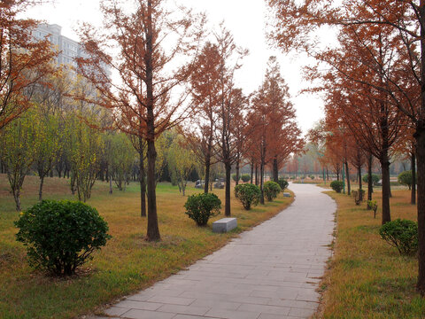 秋日公园步道