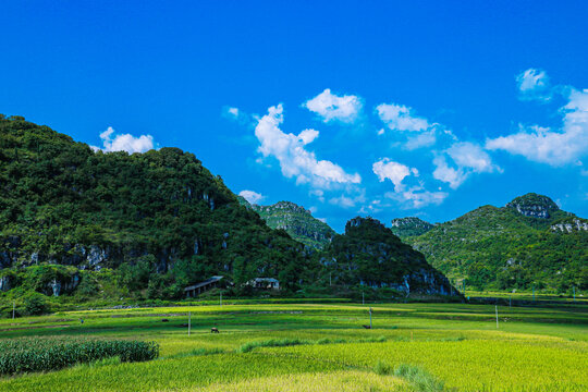 贵州安顺织金洞景区