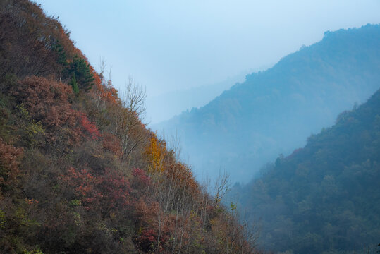 嘉午台秋景