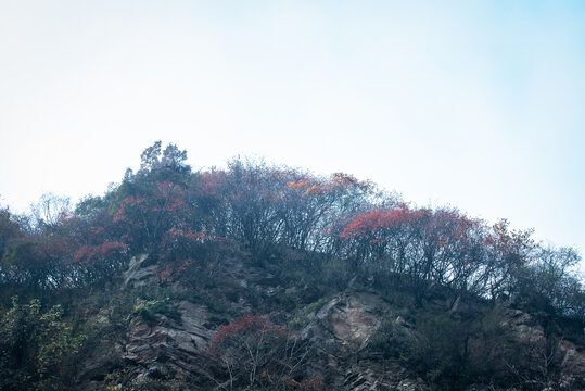 西安嘉午台秋景