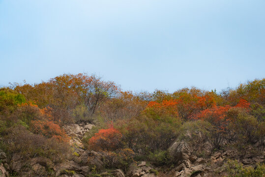 西安嘉午台风景区