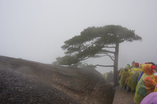 雾漫山顶