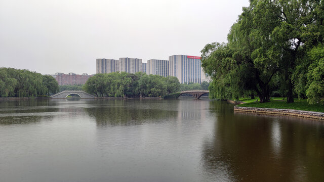 雨中的公园湖水