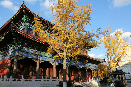 秋天的沈阳东塔永光寺