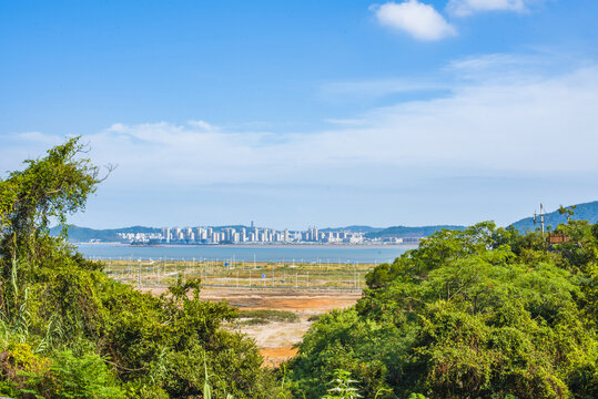 海滨港口城市风光