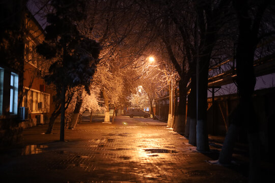 春雪的夜晚