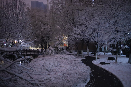 雪