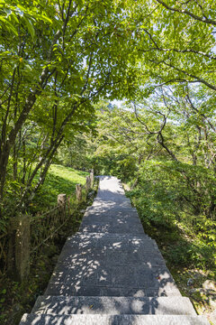 黄山自然风景区的山间通道