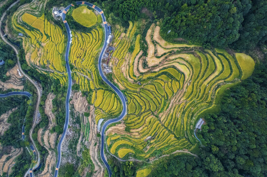 江西婺源江岭秋季梯田风光