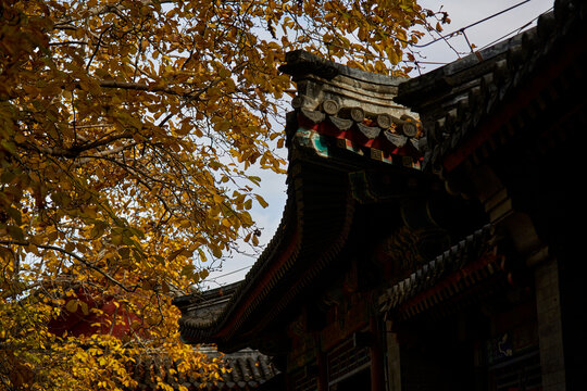 北京市香山公园秋色