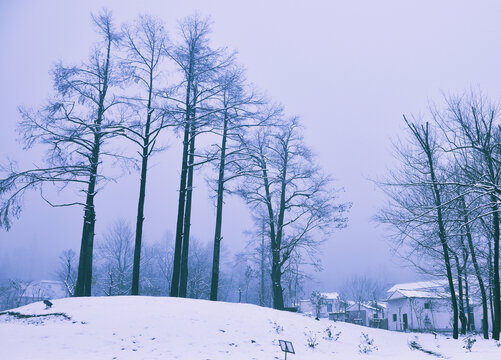 黄山雪景