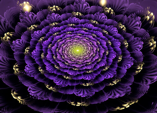 紫色分形花