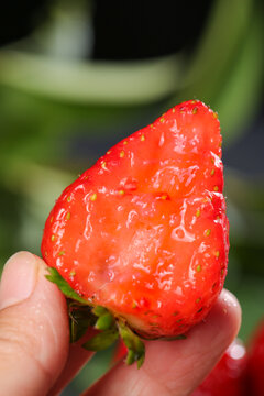 深底上的新鲜草莓