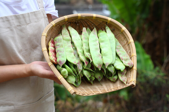 一点红油豆角