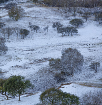 乌兰布统秋后的第一场雪11