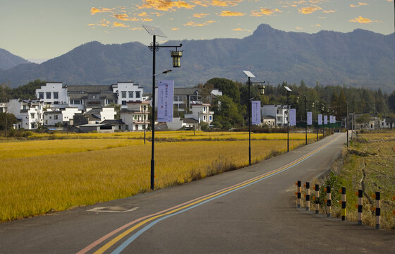 塔川秋色