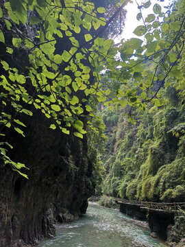 山间小溪