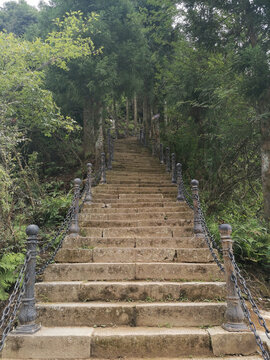 森林步道梯坎